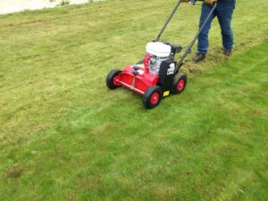 Scarifying a moss infested lawn before over-seeding and applying fertiliser.